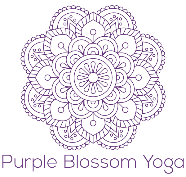 Aerial Yoga - Purple Blossom Yoga Studio