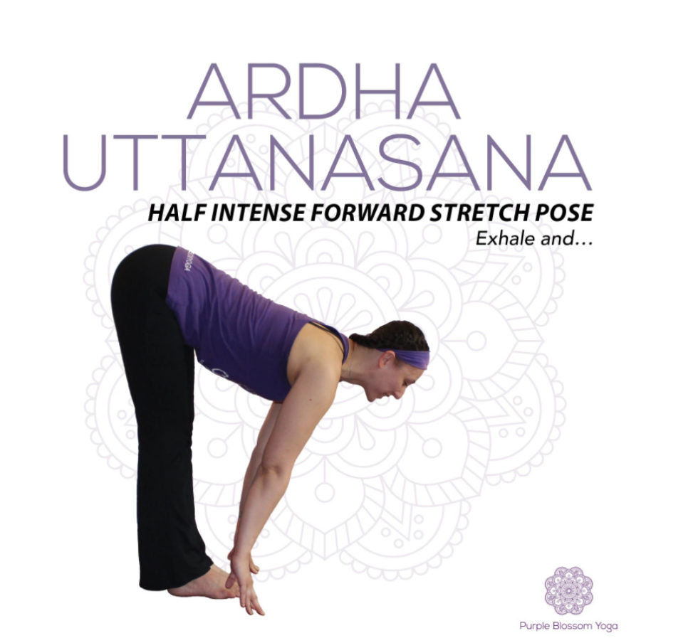 Start Your Day With Yoga! Purple Blossom Yoga Studio